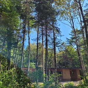 Nomi Resort